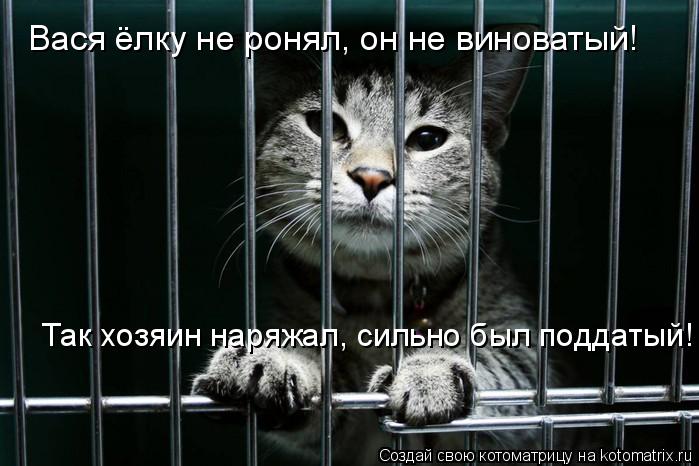 Вася ёлку не ронял, он не виноватый! Так хозяин наряжал, сильно был поддатый!... Котоматрица: Вася ёлку не ронял, он не виноватый! Так хозяин наряжал, сильно был поддатый!