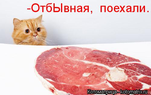 -ОтбЫвная, поехали.... Котоматрица: -ОтбЫвная, поехали.