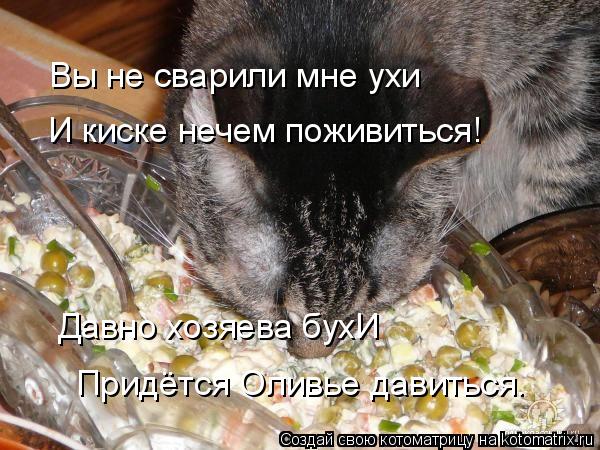 Вы не сварили мне ухи И киске нечем поживиться! Давно хозяева бухИ Придётся Оливье давиться.... Котоматрица: Вы не сварили мне ухи И киске нечем поживиться! Давно хозяева бухИ Придётся Оливье давиться.