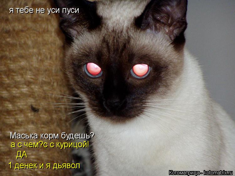 я тебе не уси пуси Маська корм будешь? а с чем?с с курицой! ДА 1 денек и я дьявол... Котоматрица: я тебе не уси пуси Маська корм будешь? а с чем?с с курицой! ДА 1 денек и я дьявол