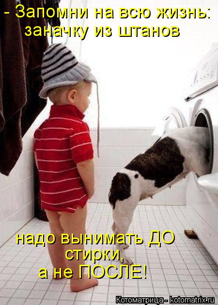 - Запомни на всю жизнь: заначку из штанов надо вынимать ДО стирки, а не ПОСЛЕ!... Котоматрица: - Запомни на всю жизнь: заначку из штанов надо вынимать ДО стирки, а не ПОСЛЕ!