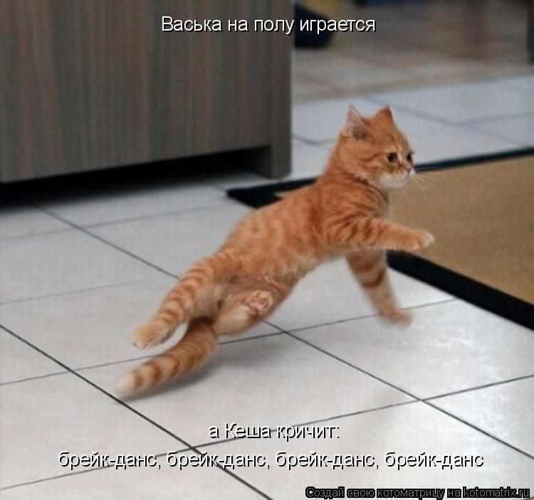 Васька на полу играется а Кеша кричит: брейк-данс, брейк-данс, брейк-данс, брейк-данс... Котоматрица: Васька на полу играется а Кеша кричит: брейк-данс, брейк-данс, брейк-данс, брейк-данс
