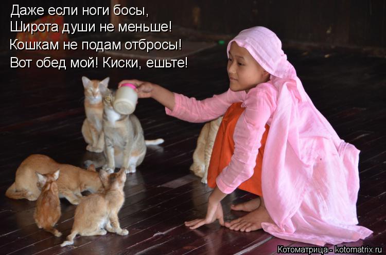 Даже если ноги босы, Широта души не меньше! Кошкам не подам отбросы! Вот обед мой! Киски, ешьте!... Котоматрица: Даже если ноги босы, Широта души не меньше! Кошкам не подам отбросы! Вот обед мой! Киски, ешьте!