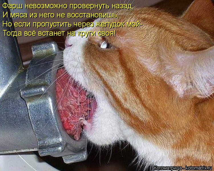 Фарш невозможно провернуть назад, И мяса из него не восстановишь, Но если пропустить через желудок мо... Котоматрица: Фарш невозможно провернуть назад, И мяса из него не восстановишь, Но если пропустить через желудок мой- Тогда всё встанет на круги своя!