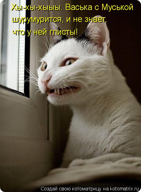 Хы-хы-хыыы. Васька с Муськой шурумурится, и не знает, что у ней глисты!... Котоматрица: Хы-хы-хыыы. Васька с Муськой шурумурится, и не знает, что у ней глисты!