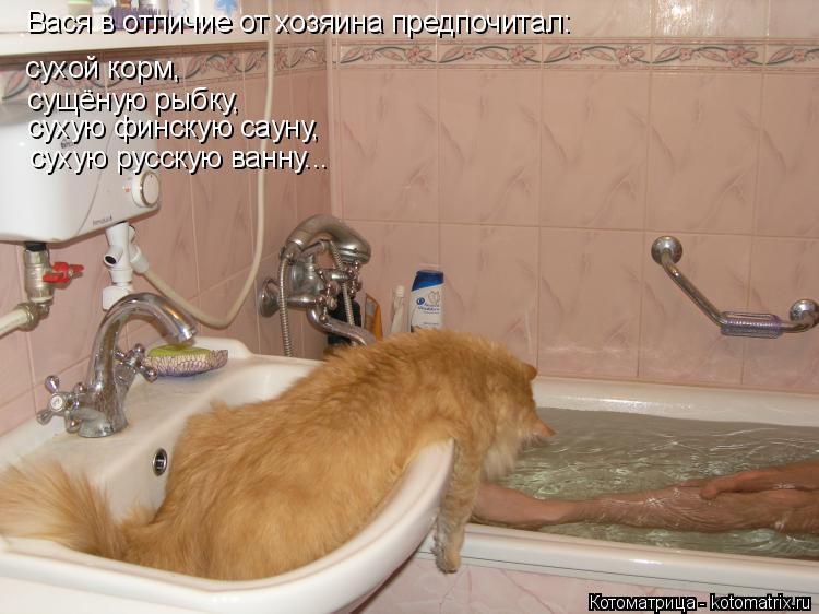 Вася в отличие от хозяина предпочитал: сущёную рыбку, сухую финскую сауну, сухую русскую ванну... сух... Котоматрица: Вася в отличие от хозяина предпочитал: сущёную рыбку, сухую финскую сауну, сухую русскую ванну... сухой корм,