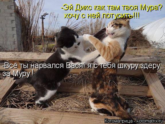 -Эй Дикс как там твоя Мура? хочу с ней потусить!!! -Всё ты нарвался Вася! я с тебя шкуру здеру за Мур... Котоматрица: -Эй Дикс как там твоя Мура? хочу с ней потусить!!! -Всё ты нарвался Вася! я с тебя шкуру здеру за Муру !