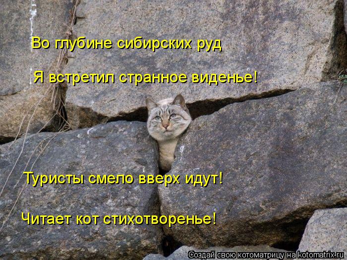 Во глубине сибирских руд Я встретил странное виденье! Туристы смело вверх идут! Читает кот стихотворе... Котоматрица: Во глубине сибирских руд Я встретил странное виденье! Туристы смело вверх идут! Читает кот стихотворенье!