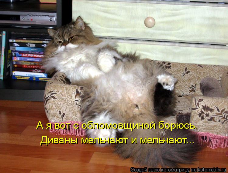 А я вот с обломовщиной борюсь. Диваны мельчают и мельчают...... Котоматрица: А я вот с обломовщиной борюсь. Диваны мельчают и мельчают...