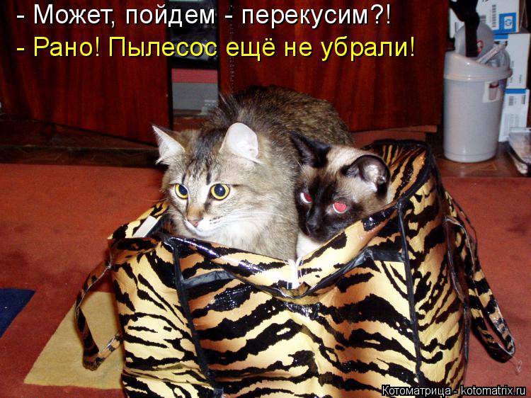 - Может, пойдем - перекусим?! - Рано! Пылесос ещё не убрали!... Котоматрица: - Может, пойдем - перекусим?! - Рано! Пылесос ещё не убрали!