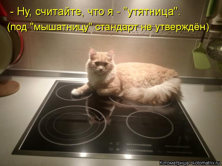 - Ну, считайте, что я - "утятница". (под "мышатницу" стандарт не утверждён)... Котоматрица: - Ну, считайте, что я - "утятница". (под "мышатницу" стандарт не утверждён)
