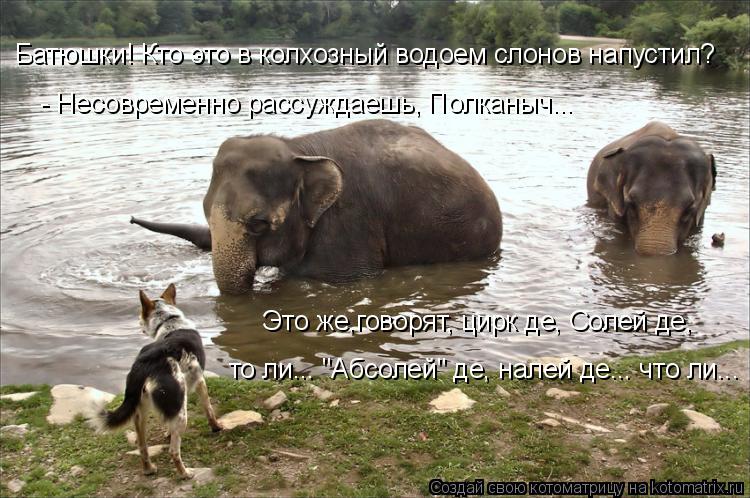 Это же,говорят, цирк де, Солей де, то ли... "Абсолей" де, налей де... что ли... - Несовременно рассу... Котоматрица: Это же,говорят, цирк де, Солей де, то ли... "Абсолей" де, налей де... что ли... - Несовременно рассуждаешь, Полканыч... Батюшки! Кто это в колхозный