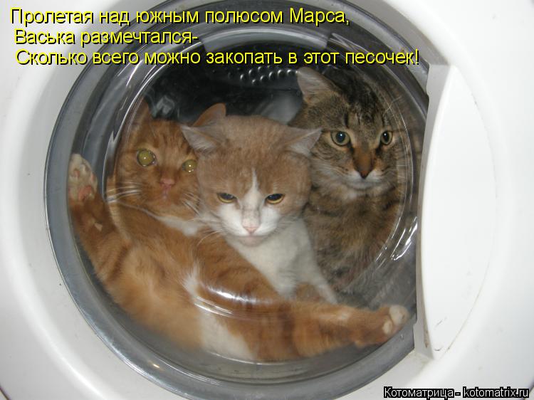 Пролетая над южным полюсом Марса, Васька размечтался- Сколько всего можно закопать в этот песочек!... Котоматрица: Пролетая над южным полюсом Марса, Васька размечтался- Сколько всего можно закопать в этот песочек!