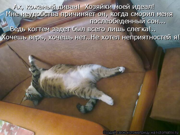 Хочешь верь, хочешь нет..Не хотел неприятностей я! Ведь когтем задет был всего лишь слегка!.. послеоб... Котоматрица: Хочешь верь, хочешь нет..Не хотел неприятностей я! Ведь когтем задет был всего лишь слегка!.. послеобеденный сон... Мне неудобства причиняет о