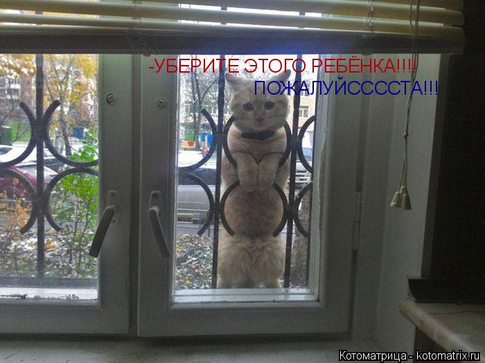 -УБЕРИТЕ ЭТОГО РЕБЁНКА!!!! ПОЖАЛУЙССССТА!!!... Котоматрица: -УБЕРИТЕ ЭТОГО РЕБЁНКА!!!! ПОЖАЛУЙССССТА!!!