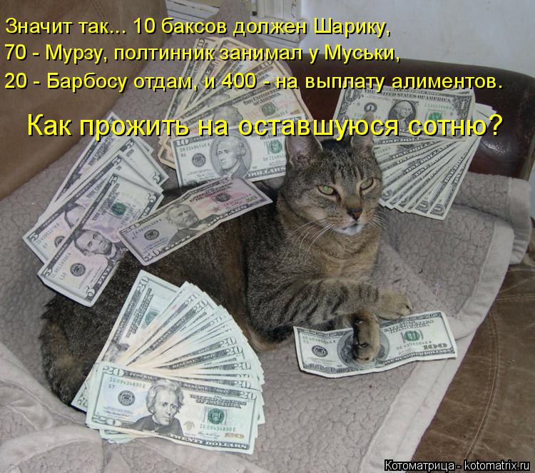 Значит так... 10 баксов должен Шарику, 70 - Мурзу, полтинник занимал у Муськи, 20 - Барбосу отдам, и... Котоматрица: Значит так... 10 баксов должен Шарику, 70 - Мурзу, полтинник занимал у Муськи, 20 - Барбосу отдам, и 400 - на выплату алиментов. Как прожить на оставш