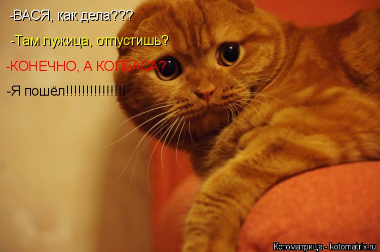 -ВАСЯ, как дела??? -Там лужица, отпустишь? -КОНЕЧНО, А КОЛБАСА? -Я пошёл!!!!!!!!!!!!!!!... Котоматрица: -ВАСЯ, как дела??? -Там лужица, отпустишь? -КОНЕЧНО, А КОЛБАСА? -Я пошёл!!!!!!!!!!!!!!!