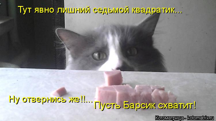 Тут явно лишний седьмой квадратик... Ну отвернись же!!... Пусть Барсик схватит!... Котоматрица: Тут явно лишний седьмой квадратик... Ну отвернись же!!... Пусть Барсик схватит!