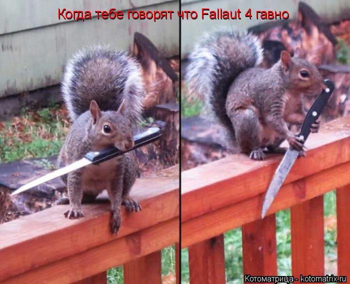 Когда тебе говорят что Fallaut 4 гавно Когда тебе говорят что Fallaut 4 гавно... Котоматрица: Когда тебе говорят что Fallaut 4 гавно Когда тебе говорят что Fallaut 4 гавно