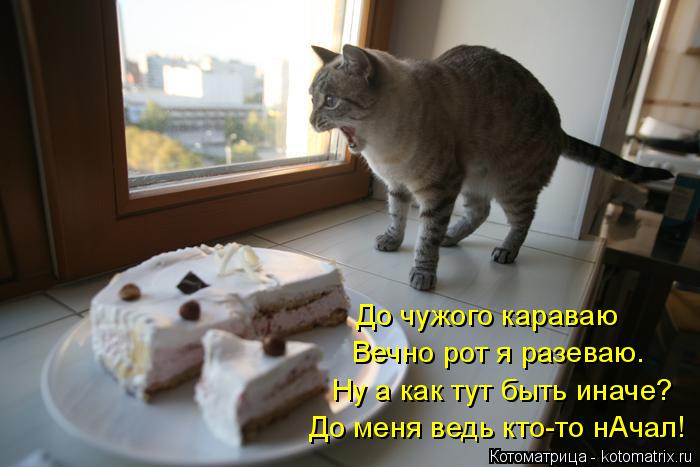 До чужого караваю Вечно рот я разеваю. Ну а как тут быть иначе? До меня ведь кто-то нАчал!... Котоматрица: До чужого караваю Вечно рот я разеваю. Ну а как тут быть иначе? До меня ведь кто-то нАчал!