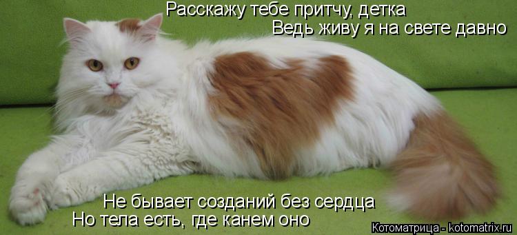 Расскажу тебе притчу, детка Ведь живу я на свете давно Не бывает созданий без сердца Но тела есть, гд... Котоматрица: Расскажу тебе притчу, детка Ведь живу я на свете давно Не бывает созданий без сердца Но тела есть, где канем оно