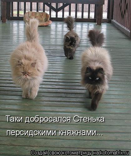 Таки добросался Стенька персидскими княжнами...... Котоматрица: Таки добросался Стенька персидскими княжнами...