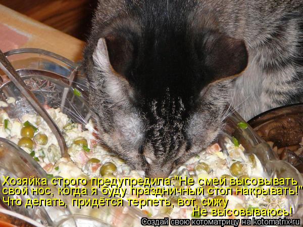 Хозяйка строго предупредила:"Не смей высовывать свой нос, когда я буду праздничный стол накрывать!" Ч... Котоматрица: Хозяйка строго предупредила:"Не смей высовывать свой нос, когда я буду праздничный стол накрывать!" Что делать, придётся терпеть, вот, сижу Н