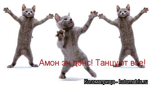 Амон эн дэнс! Танцуют все!... Котоматрица: Амон эн дэнс! Танцуют все!