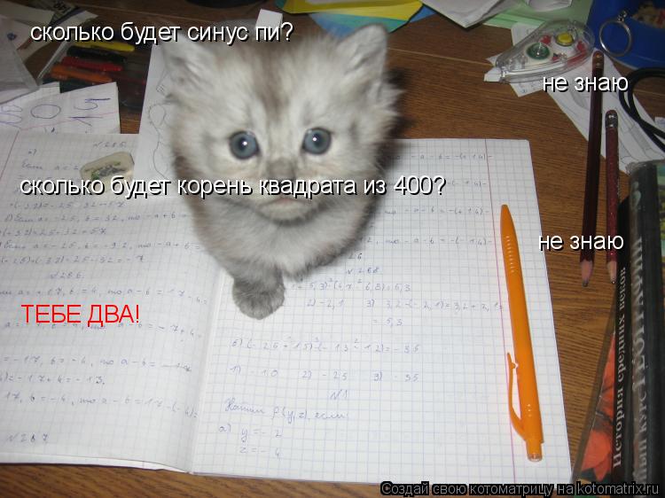 сколько будет синус пи? не знаю сколько будет корень квадрата из 400? не знаю ТЕБЕ ДВА!... Котоматрица: сколько будет синус пи? не знаю сколько будет корень квадрата из 400? не знаю ТЕБЕ ДВА!