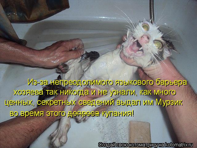 Из-за непреодолимого языкового барьера хозяева так никогда и не узнали, как много ценных, секретных... Котоматрица: Из-за непреодолимого языкового барьера хозяева так никогда и не узнали, как много ценных, секретных сведений выдал им Мурзик во время этог