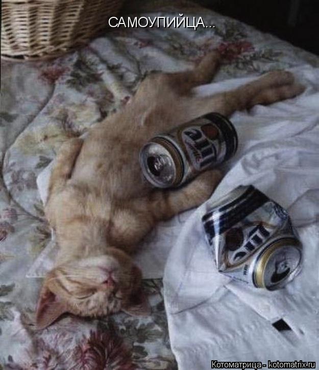 САМОУПИЙЦА...... Котоматрица: САМОУПИЙЦА...