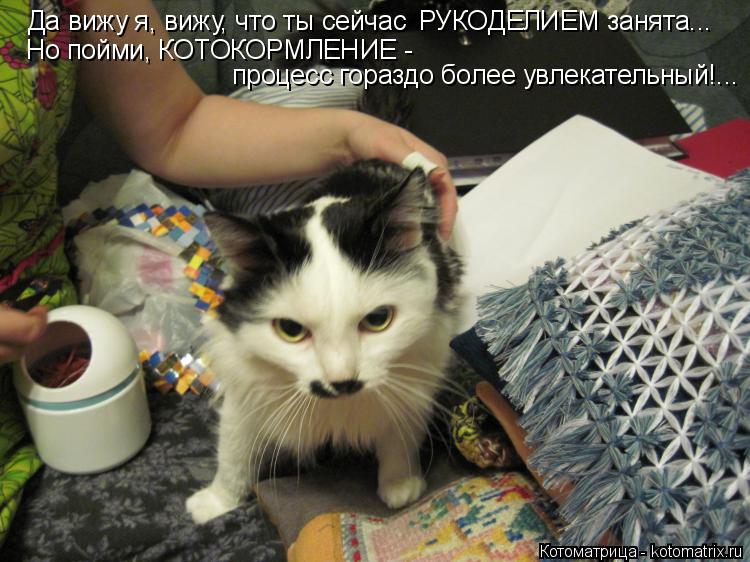 Да вижу я, вижу, что ты сейчас РУКОДЕЛИЕМ занята... Но пойми, КОТОКОРМЛЕНИЕ - процесс гораздо более... Котоматрица: Да вижу я, вижу, что ты сейчас РУКОДЕЛИЕМ занята... Но пойми, КОТОКОРМЛЕНИЕ - процесс гораздо более увлекательный!...