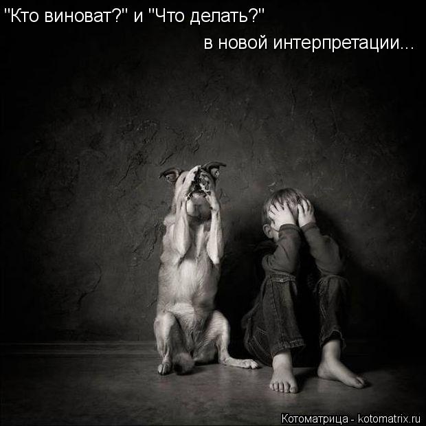 "Кто виноват?" и "Что делать?" в новой интерпретации...... Котоматрица: "Кто виноват?" и "Что делать?" в новой интерпретации...