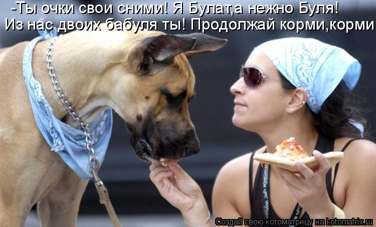 -Ты очки свои сними! Я Булат,а нежно Буля! Из нас двоих бабуля ты! Продолжай корми,корми!... Котоматрица: -Ты очки свои сними! Я Булат,а нежно Буля! Из нас двоих бабуля ты! Продолжай корми,корми!