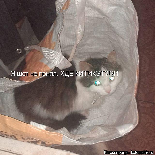 Я шот не понял. ХДЕ КИТИКЭТ?!?!1... Котоматрица: Я шот не понял. ХДЕ КИТИКЭТ?!?!1