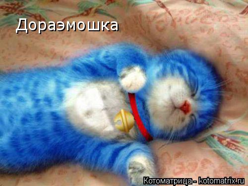Дораэмошка... Котоматрица: Дораэмошка