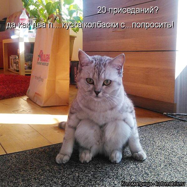 20 приседаний? да как два п....куска колбаски с...попросить!... Котоматрица: 20 приседаний? да как два п....куска колбаски с...попросить!