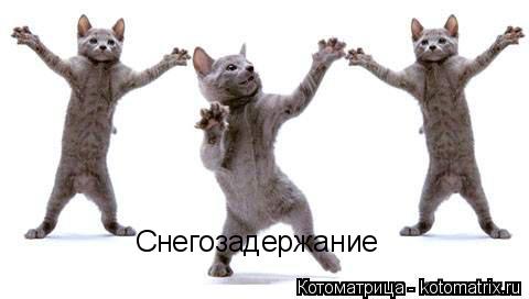 Снегозадержание... Котоматрица: Снегозадержание