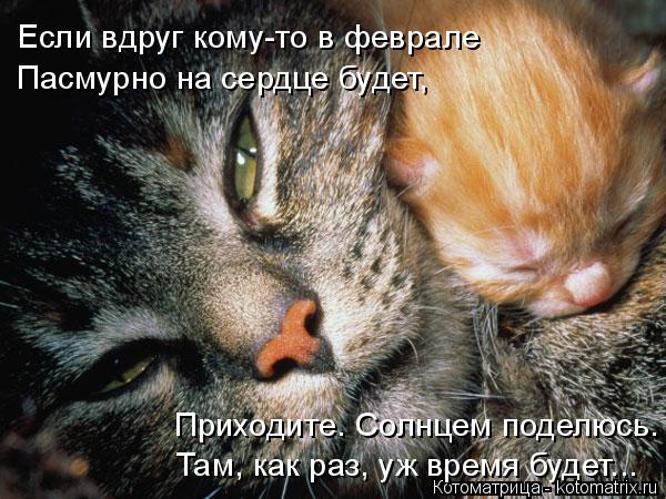 Если вдруг кому-то в феврале Пасмурно на сердце будет, Приходите. Солнцем поделюсь. Там, как раз, уж ... Котоматрица: Если вдруг кому-то в феврале Пасмурно на сердце будет, Приходите. Солнцем поделюсь. Там, как раз, уж время будет...