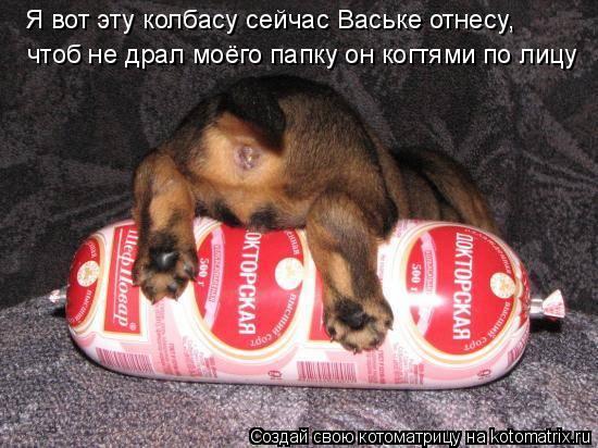 Я вот эту колбасу сейчас Ваське отнесу, чтоб не драл моёго папку он когтями по лицу... Котоматрица: Я вот эту колбасу сейчас Ваське отнесу, чтоб не драл моёго папку он когтями по лицу