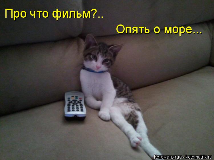 Про что фильм?.. Опять о море...... Котоматрица: Про что фильм?.. Опять о море...