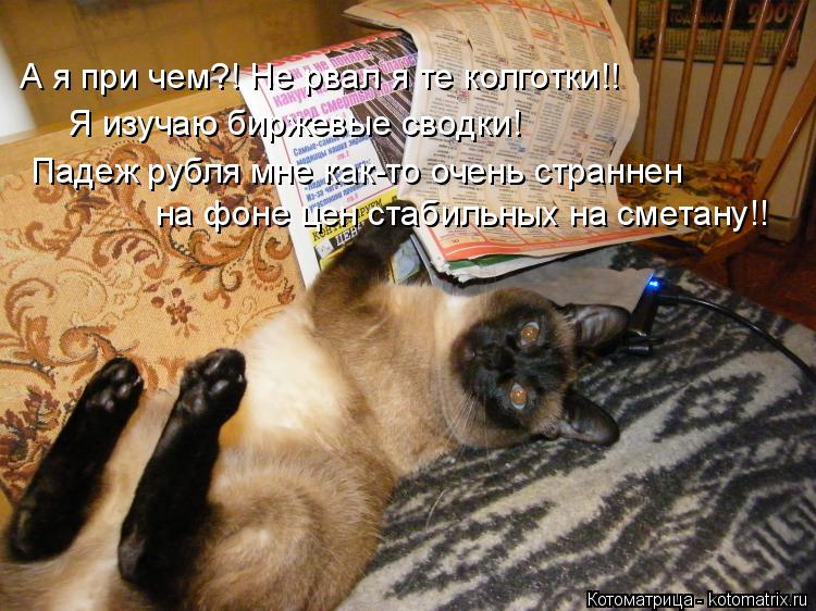 А я при чем?! Не рвал я те колготки!! Я изучаю биржевые сводки! Падеж рубля мне как-то очень страннен... Котоматрица: А я при чем?! Не рвал я те колготки!! Я изучаю биржевые сводки! Падеж рубля мне как-то очень страннен на фоне цен стабильных на сметану!!