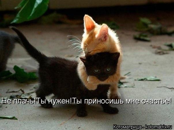 Не плачь!Ты нужен!Ты приносишь мне счастье!... Котоматрица: Не плачь!Ты нужен!Ты приносишь мне счастье!