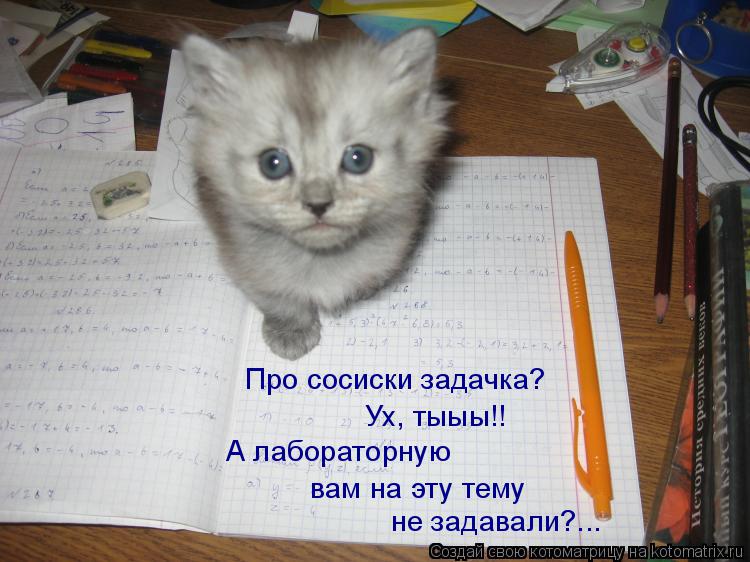 Про сосиски задачка? Ух, тыыы!! А лабораторную вам на эту тему не задавали?...... Котоматрица: Про сосиски задачка? Ух, тыыы!! А лабораторную вам на эту тему не задавали?...