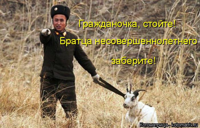 Гражданочка, стойте! Братца несовершеннолетнего заберите!... Котоматрица: Гражданочка, стойте! Братца несовершеннолетнего заберите!
