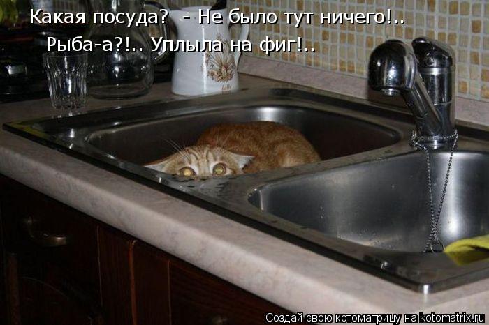 Какая посуда? - Не было тут ничего!.. Рыба-а?!.. Уплыла на фиг!..... Котоматрица: Какая посуда? - Не было тут ничего!.. Рыба-а?!.. Уплыла на фиг!..