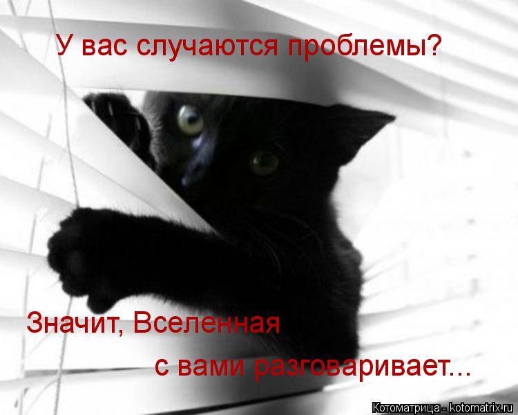 У вас случаются проблемы? Значит, Вселенная с вами разговаривает...... Котоматрица: У вас случаются проблемы? Значит, Вселенная с вами разговаривает...
