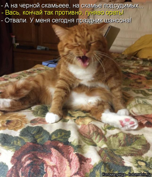 - А на черной скамьеее, на скамье подсудимых... - Вась, кончай так противно, гуняво орать! - Отвали. ... Котоматрица: - А на черной скамьеее, на скамье подсудимых... - Вась, кончай так противно, гуняво орать! - Отвали. У меня сегодня праздник шансона!
