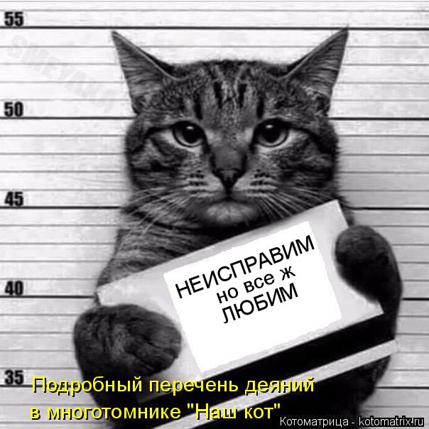 Подробный перечень деяний в многотомнике "Наш кот" но все ж НЕИСПРАВИМ ЛЮБИМ... Котоматрица: Подробный перечень деяний в многотомнике "Наш кот" но все ж НЕИСПРАВИМ ЛЮБИМ