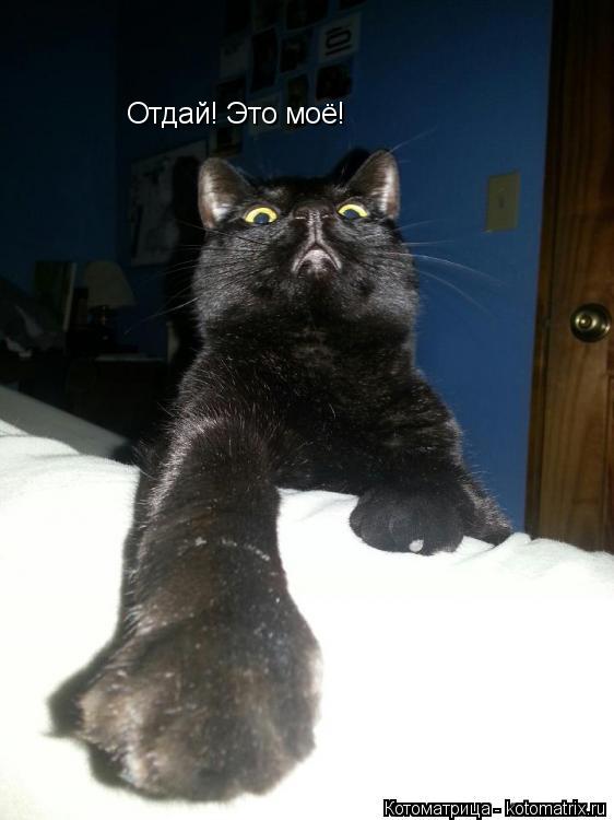 Отдай! Это моё!... Котоматрица: Отдай! Это моё!